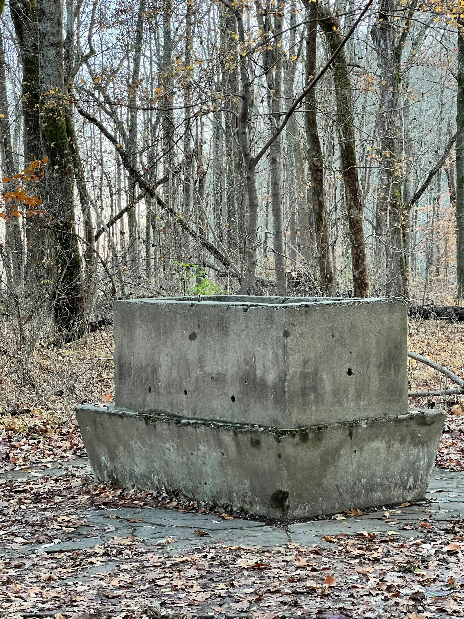 David Rose's Fresh 'Spring Water Aquifer' Dispenser Concrete ruins of David Rose's fresh spring water aquifer dispenser at Rose Island, Indiana