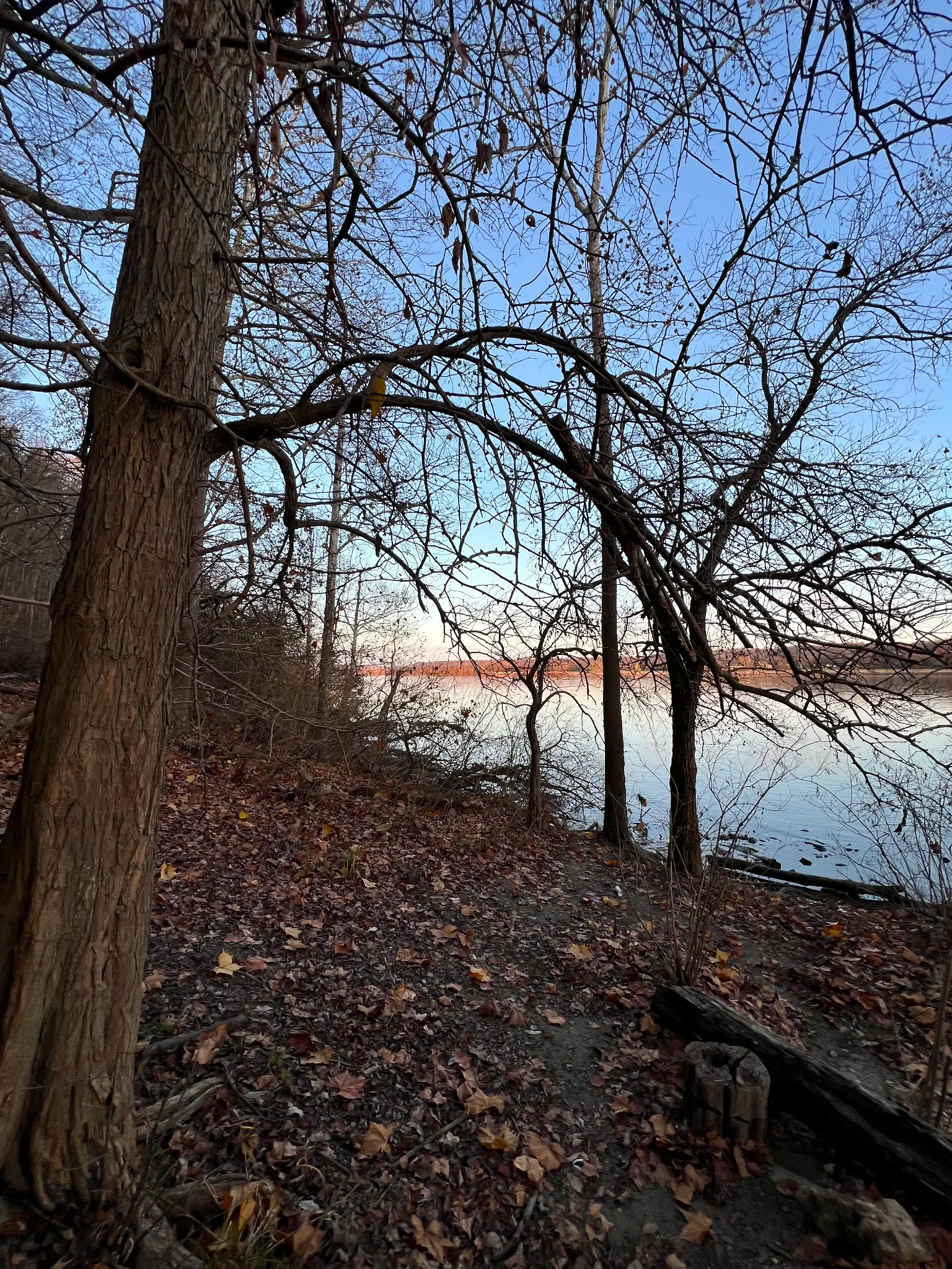 River Bank Winter shoreline of the Ohio River at the former Rose Island, Indiana amusement park
