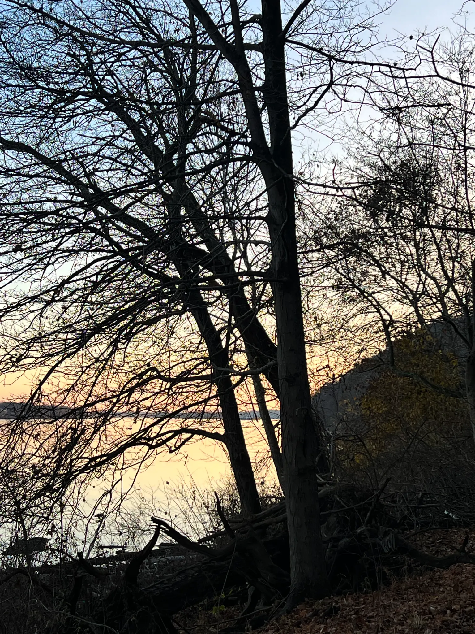 Sunset Through Trees Sunset light filtering through forest trees at Rose Island, Indiana amusement park ruins