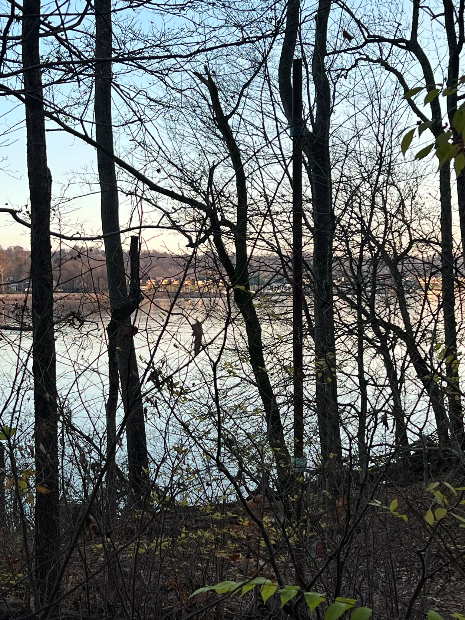 View Through Trees Winter view of the Ohio River through bare trees at Rose Island, Indiana