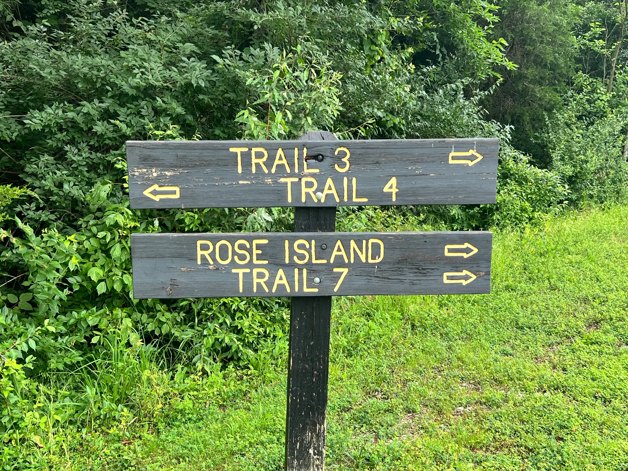 Rose Island Amusement Resort History